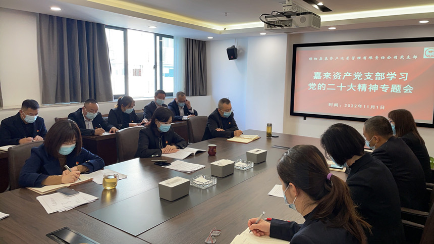 黨的(de)二十大(dà)精神支部書記講微黨課1