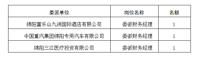 委派财務經理5.11